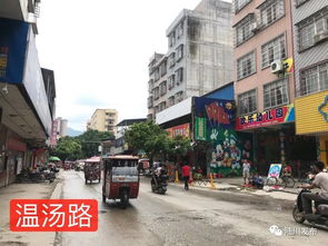 陸川縣市政道路工程建設取得階段性進展，城市交通網絡持續優化