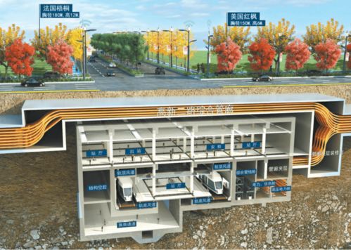 市政道路主干道順利竣工，城市發展再添新動力